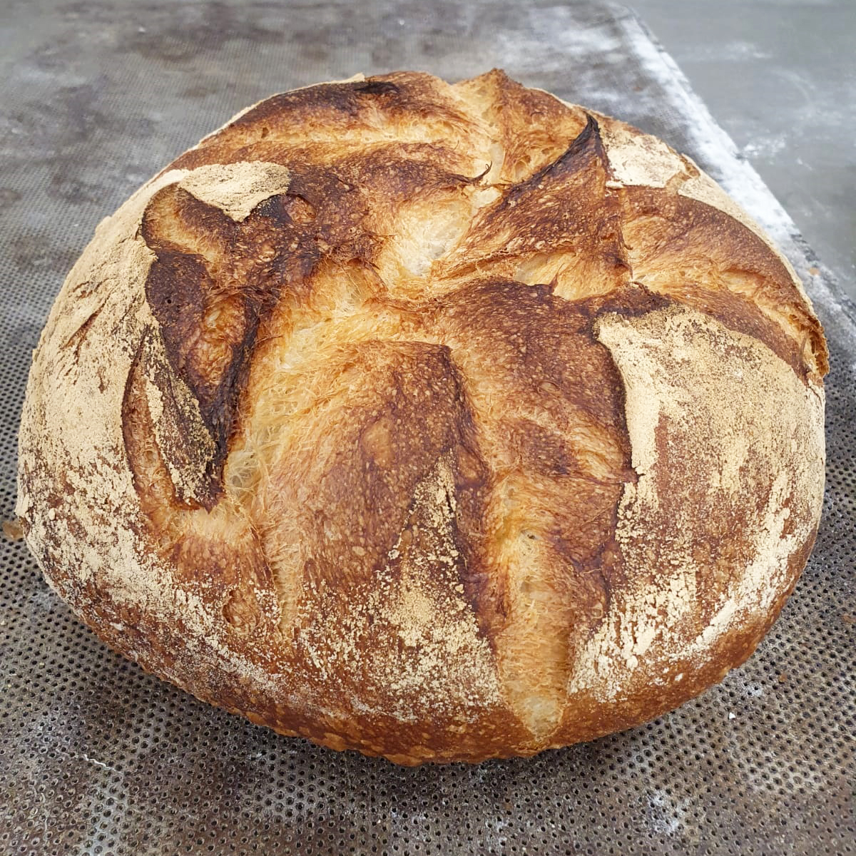 Comença el dia amb energia amb el nostre pa de pagès català IGP finalista al concurs del millor pa de pagès 2021. Vine a #FornPadró! 🥖💪🏻