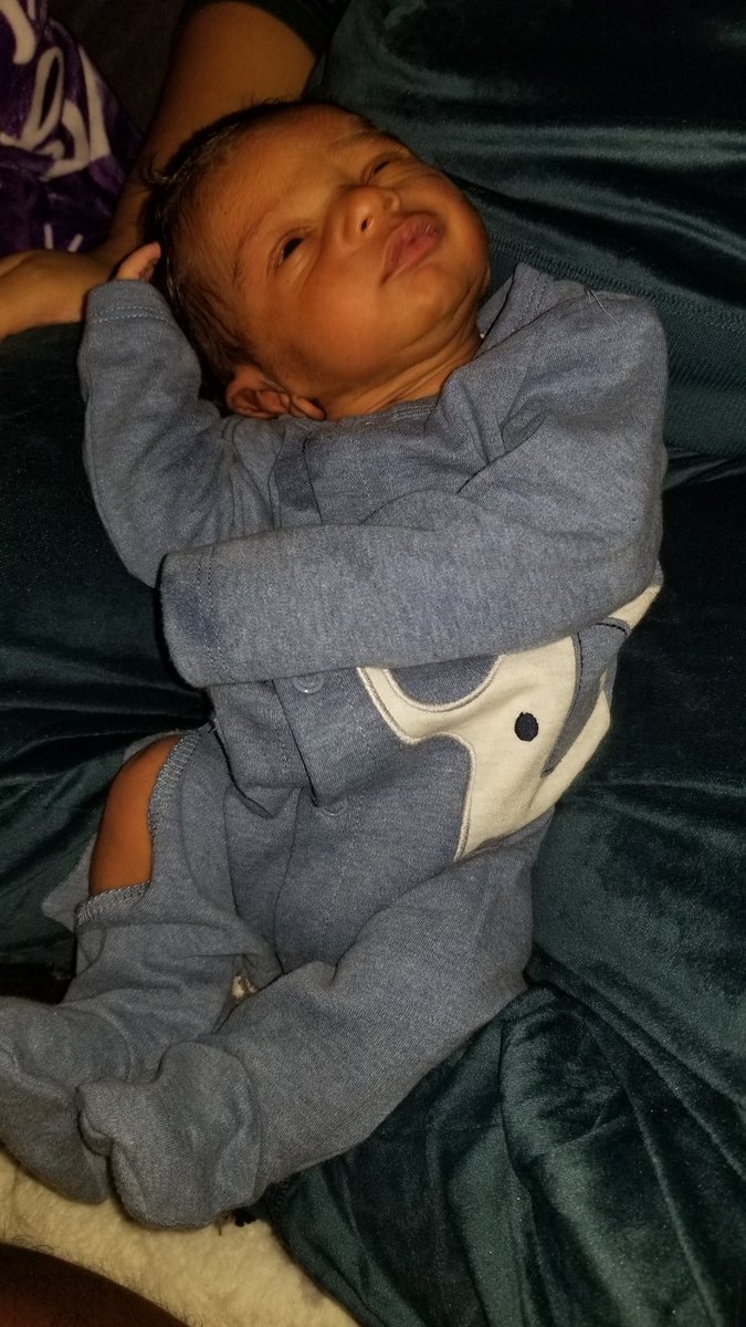 Maize (New account, FB) tweet media