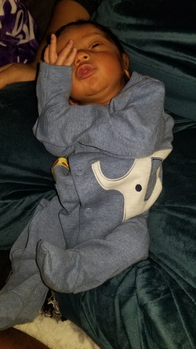 Maize (New account, FB) tweet media