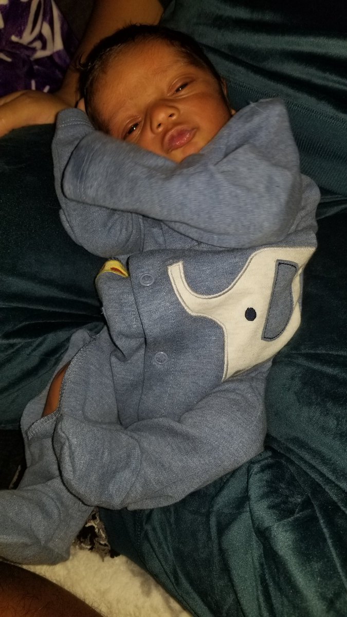 Maize (New account, FB) tweet media