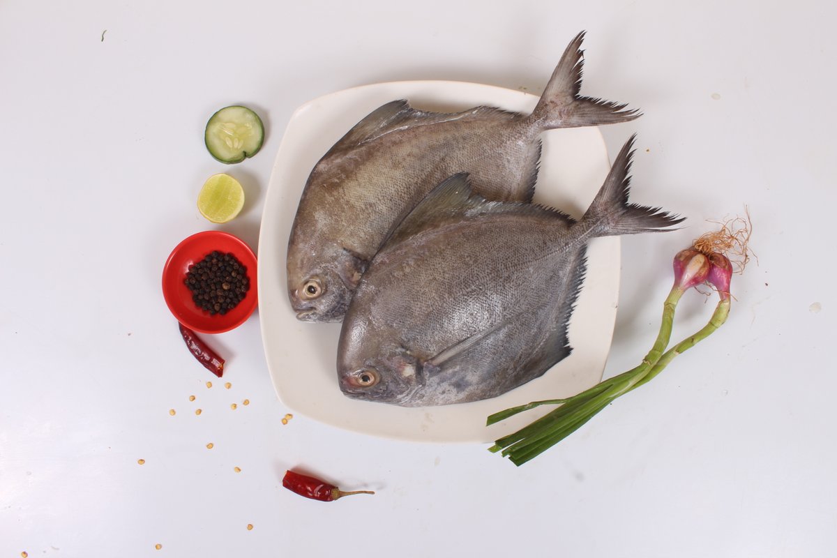 fishcutsin's tweet photo. FRESHEST SEAFOOD YOUR WAY !!!!

https://t.co/BBk3zvK88Y

Order : 98402 22223

Visit: 22E/14A, Ground Floor Sannathi Street, Jawaharlal Nehru Rd, Tharamani, Chennai, Tamil Nadu 600113.

#fishcuts #healthy #safe #seafood #delivery #bestprice #fishes #dunzo #swiggy #blackpomfret https://t.co/ykyYVolwDb