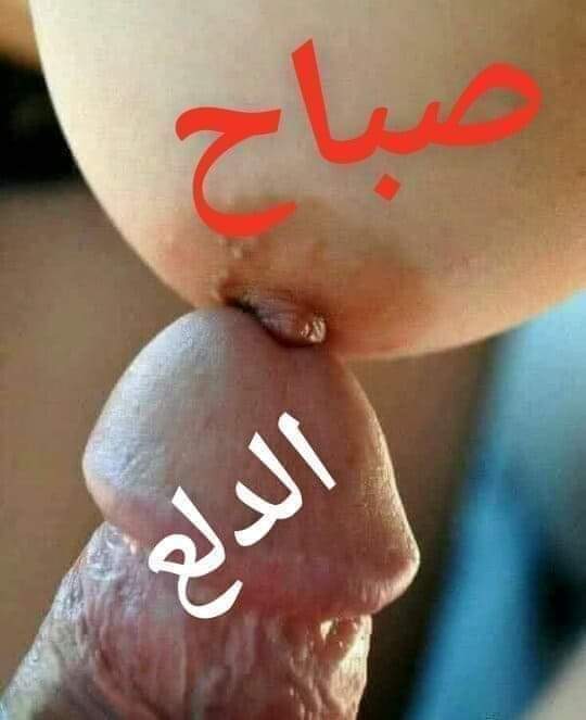 حازم مصطفى (@arhmnyyarb) on Twitter photo 