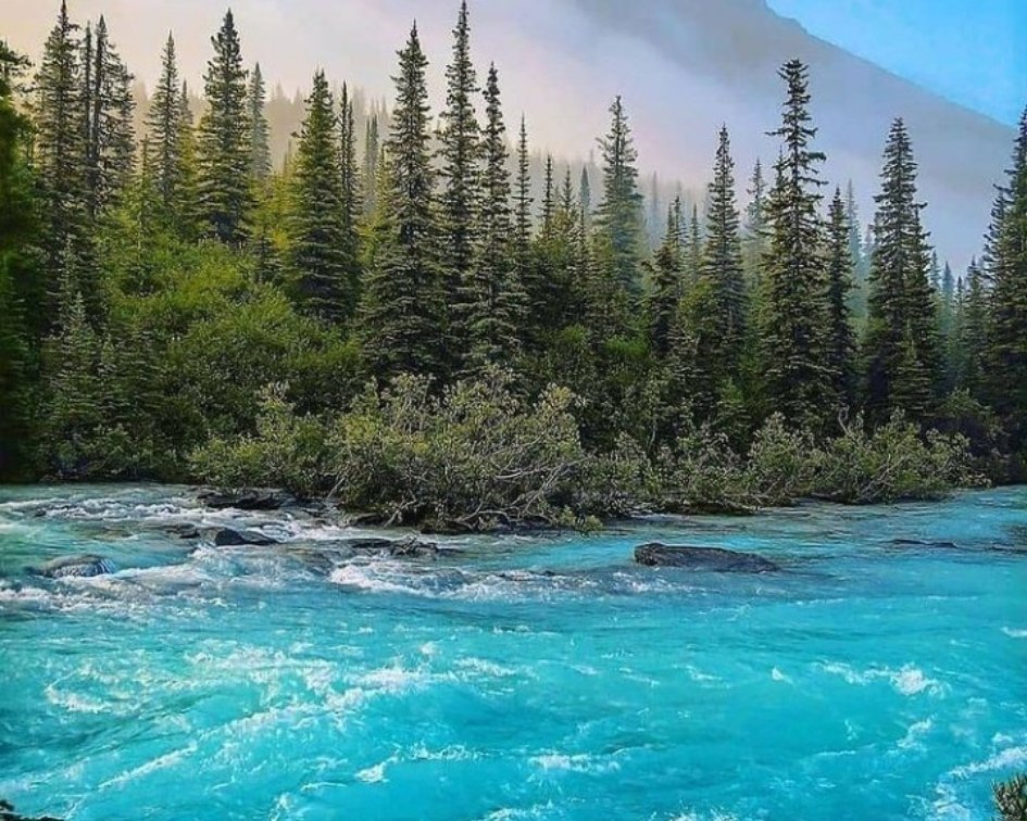 ASIA SYED (PAKISTAN)~NATURE PHOTOGRAPHY 2021 (@syednature) on Twitter photo 