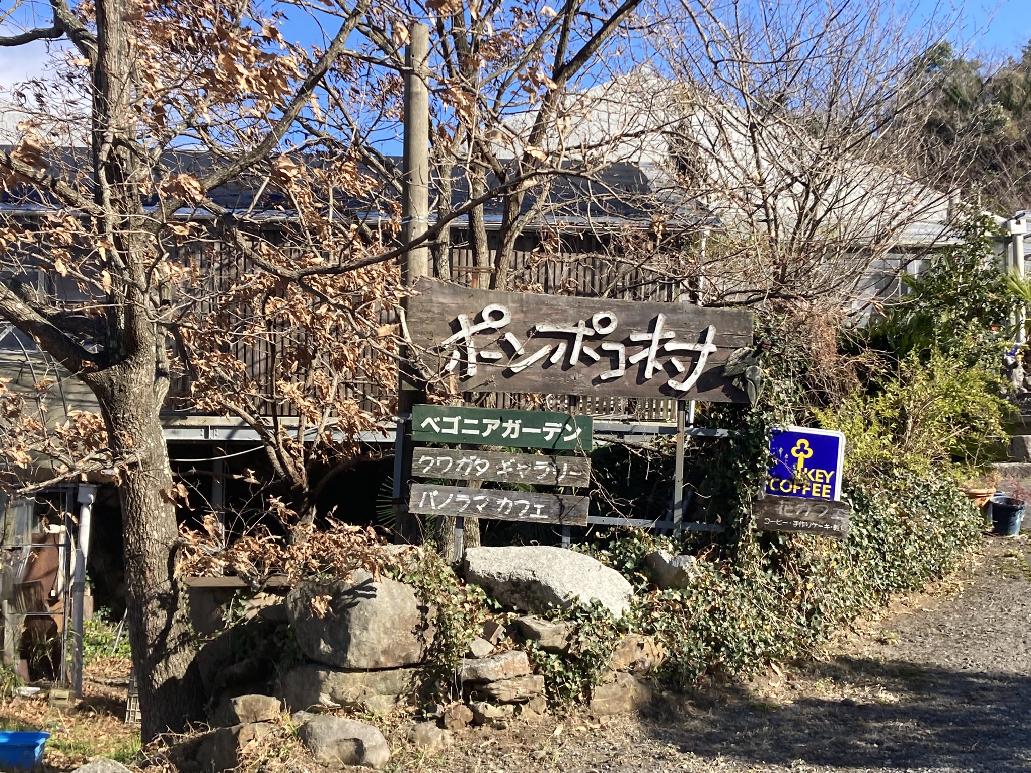 ふれ愛まちづくり委員会 En Twitter 鏡山の中腹にあるポンポコ村ベゴニアガーデンに来ています カフェからの景色は絶景ですよ 佐賀 唐津 観光 ベゴニア 花 T Co Fckcyp8dpx Twitter