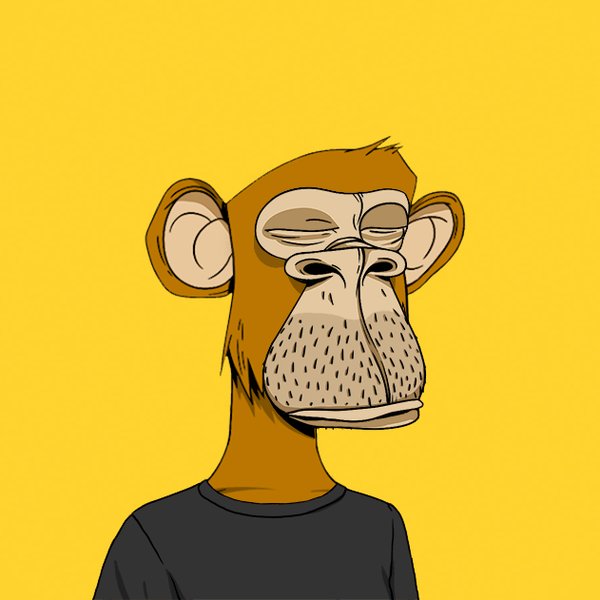 <a href="/tomsnft/">tomsnft</a> <a href="/ChuckLiddell/">Chuck Liddell 🥶</a> <a href="/ExpansionPunks/">ExpansionPunks.eth</a> <a href="/DNPthree/">⚫️</a> <a href="/JRNYcrypto/">JRNY Crypto</a> <a href="/0xApes_NFT/">0xApes</a> 🔥 0xApes 🔥