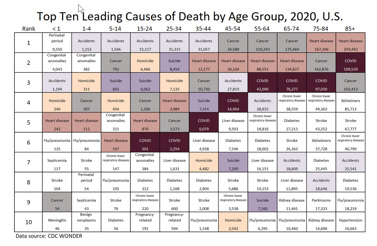 meepbobeep's tweet photo. Fixed table, fresh tweet: this uses CDC's finalized data for 2020, underlying cause of death.
COVID deaths for under age 15 weren't in top 10:
at #12 for ages 5-14, with 49 deaths
at #12 for ages 1-4, with 19 deaths
at #13 for infant mortality (<1 year), at 35 deaths https://t.co/Kmh1I4apbM