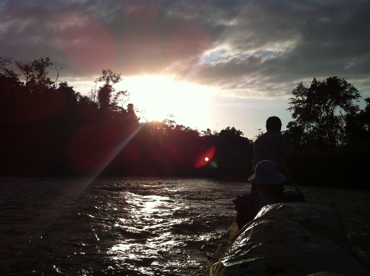 jmccart10's tweet image. About that time the aimless 22yr old me ended up in the deep jungle in Panama trying to get huge logs out of the forest with some Indigenous friends.

Rise and fall of “The Panama Project”