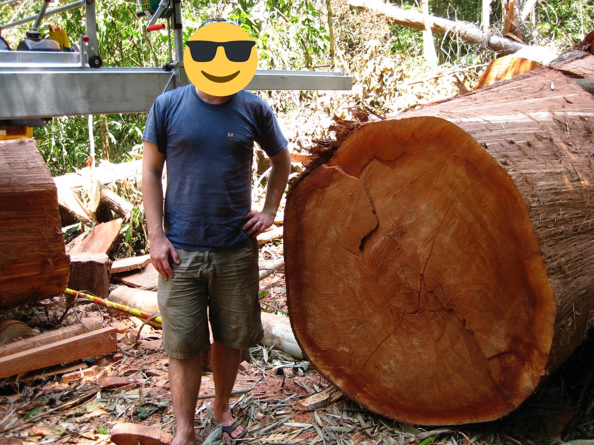 jmccart10's tweet image. About that time the aimless 22yr old me ended up in the deep jungle in Panama trying to get huge logs out of the forest with some Indigenous friends.

Rise and fall of “The Panama Project”
