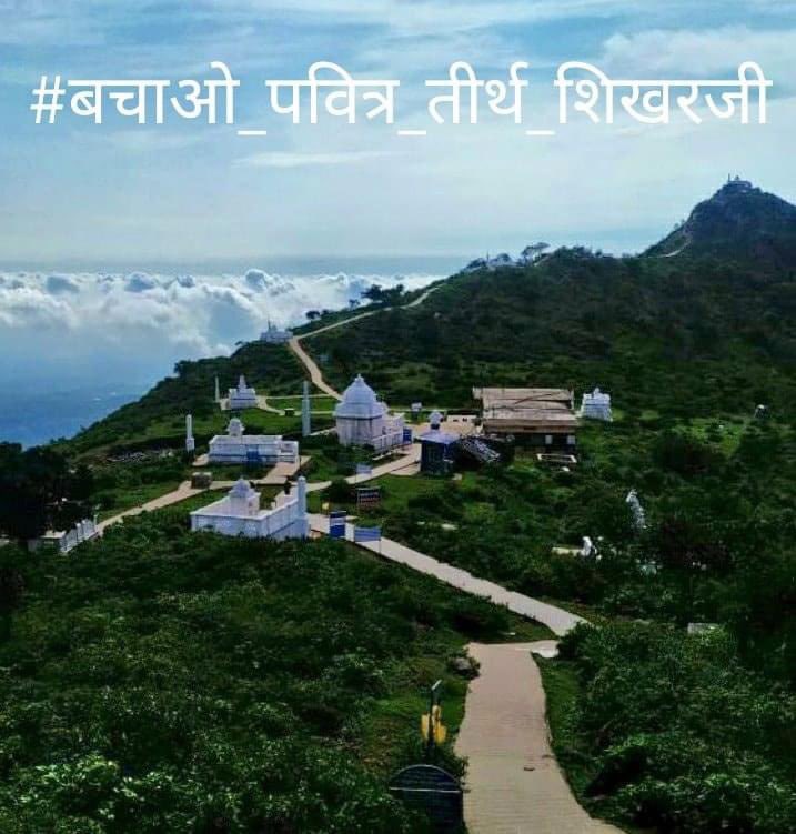 50 lakh people contribute 24% of total Tax. We are a real Minority, Still No gov talk about our Rights. 
We Jains are deeply hurt. 
#बचाओ_पवित्र_तीर्थ_शिखरजी