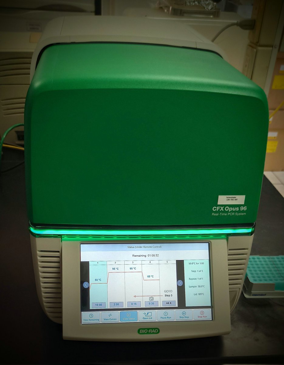 LDM_Lab's tweet photo. Hemos sumado a nuestra capacidad analítica dos equipos de PCR #CFXOpus de @BioRadLifeSci esto nos ha permitido dar respuesta oportuna a la alta demanda de pruebas #COVID19 por PCR. 

No lo olvides:
🔹Usa 😷 KN95, N95, N99
🔹Ventila espacios 🪟
🔹Sana distancia 🧍🏽‍♂️↔️🧍🏼‍♀️ https://t.co/2vMvaEahB6