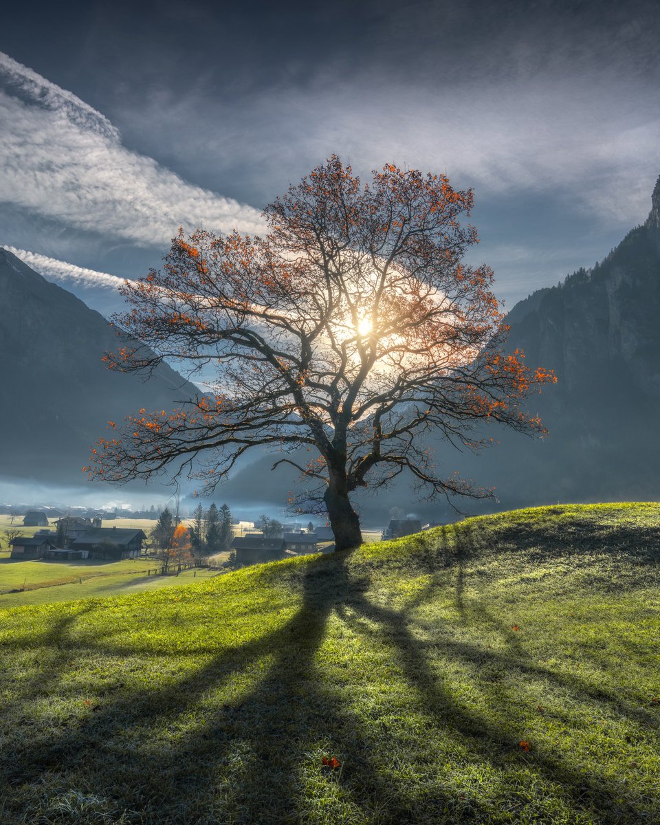 Back to Switzerland 🇨🇭 🌳