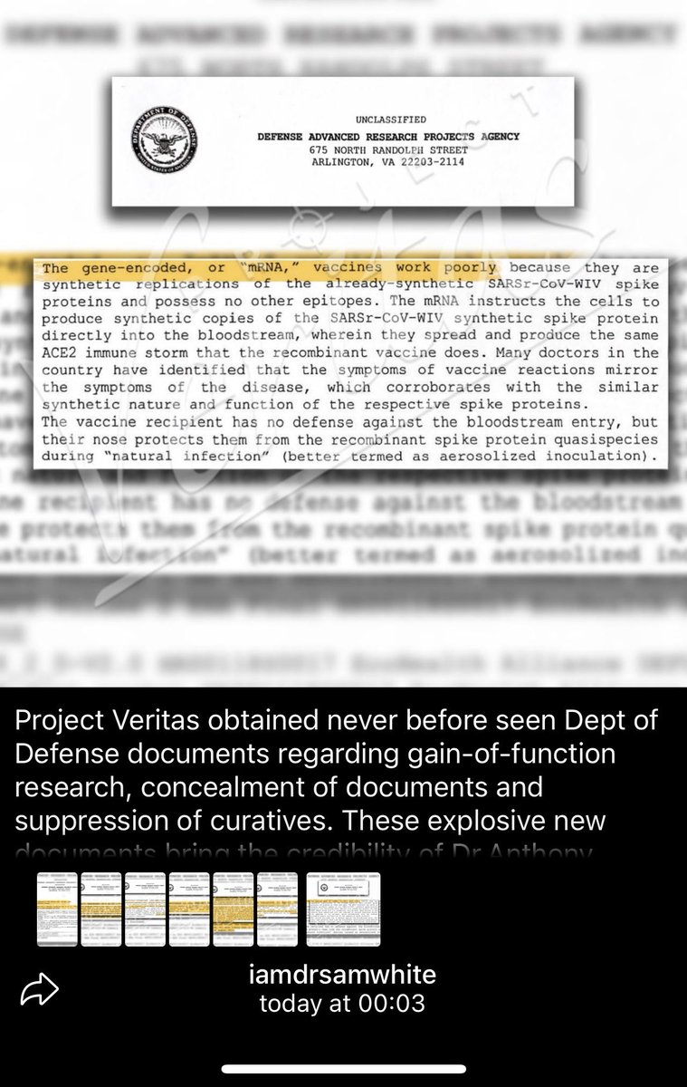 ApexBrewery's tweet image. Anyone mandating or pushing ‘vaccines’ after this #ProjectVeritas expose is complicit in #CrimesAgainstHumanity ⁦@BorisJohnson⁩ ⁦@Conservatives⁩ #GiveItUp #ItsOver #Nuremberg2ticktock #FauciLied #PeopleDied