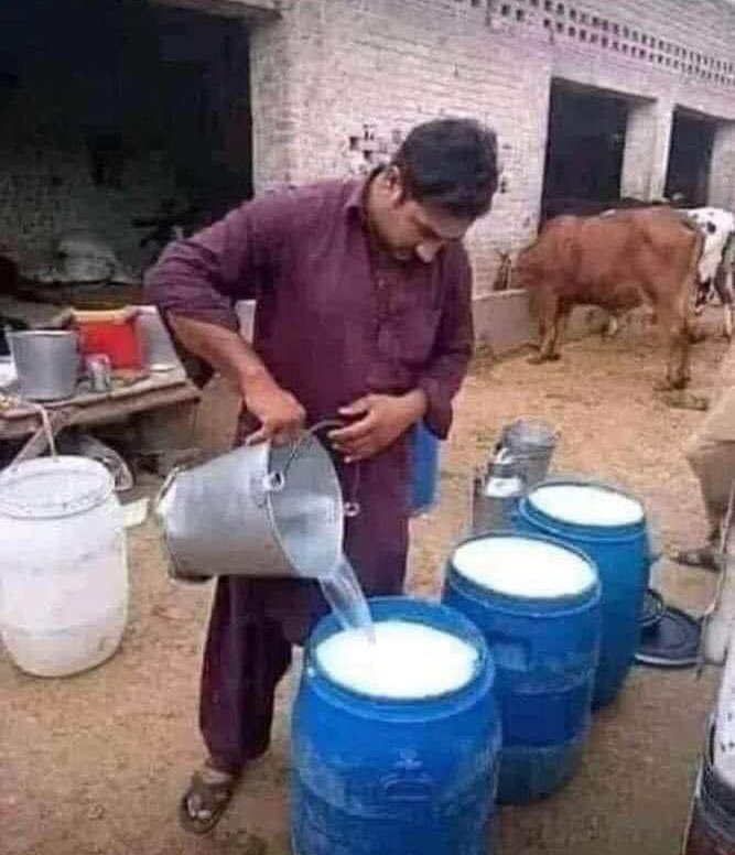 NutsAfterNust tweet media