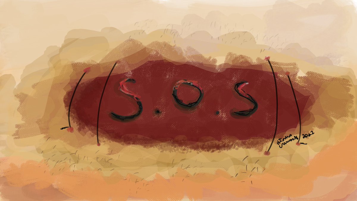Natasha Cremonese tweet media