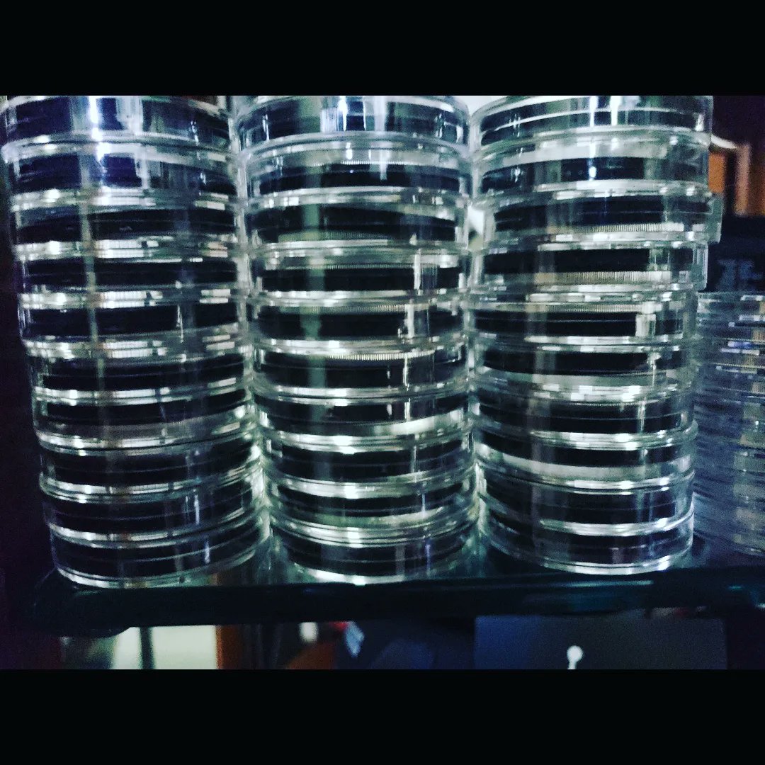 Agate07's tweet photo. QUEENS BEAST- 30 FOR SALE - 55 EACH PLUS SHIPPING. https://t.co/0LvVnvuC11