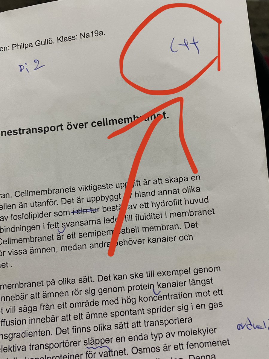 When the teacher gives you C++ as a grade 🥲