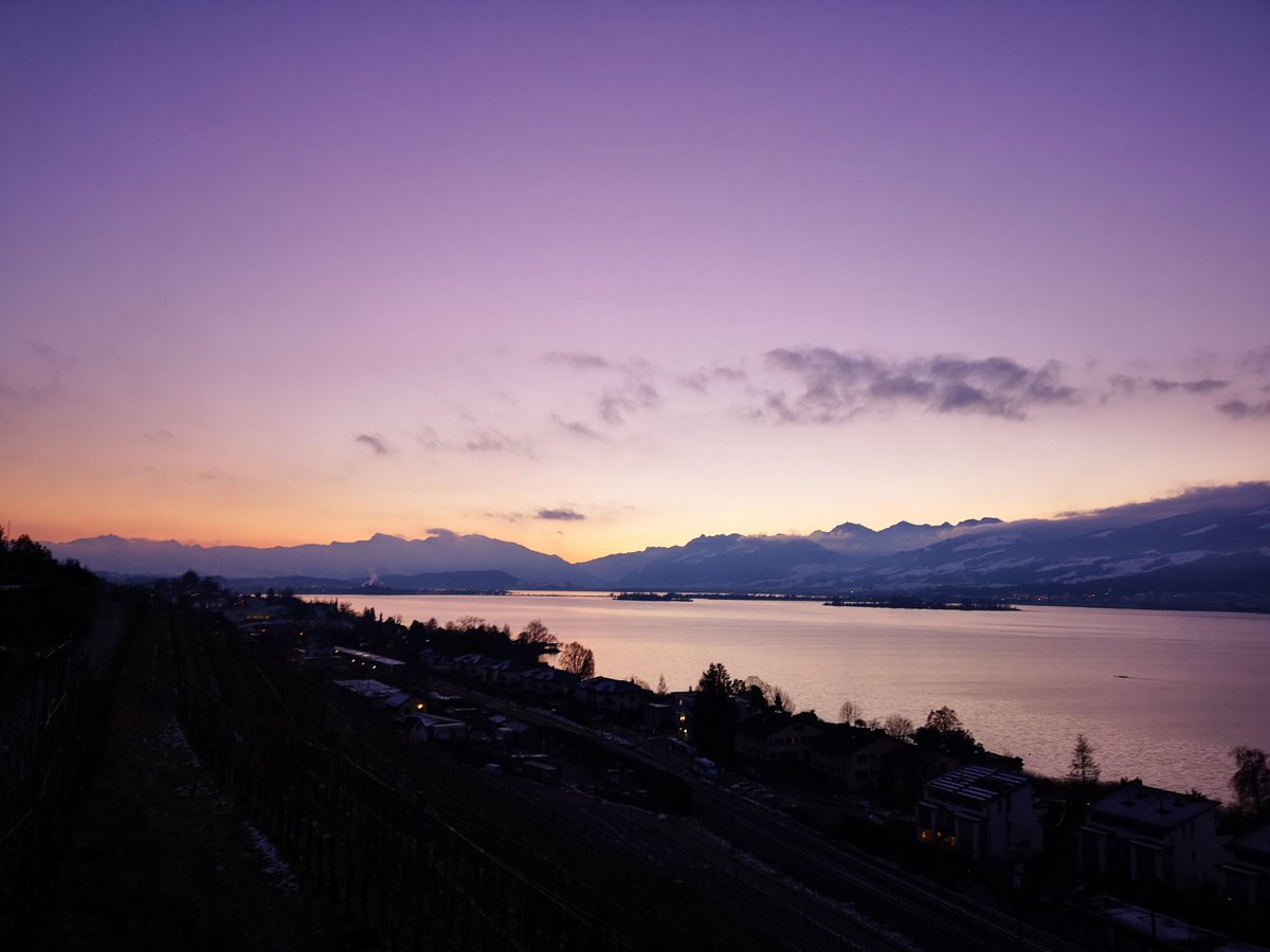 crazyfrenchguy's tweet image. I wish you all a very nice day!