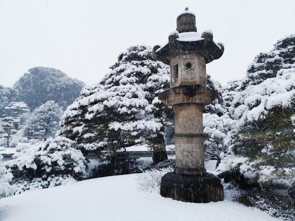 BBQ10lover's tweet photo. 先日の雪当日の風景
#写真好きな人と繋がりたい #写真撮るのが好きな人と繋がりたい #ファインダー越しの私の世界 #六義園 #P30Pro https://t.co/7SfwXO6PEA