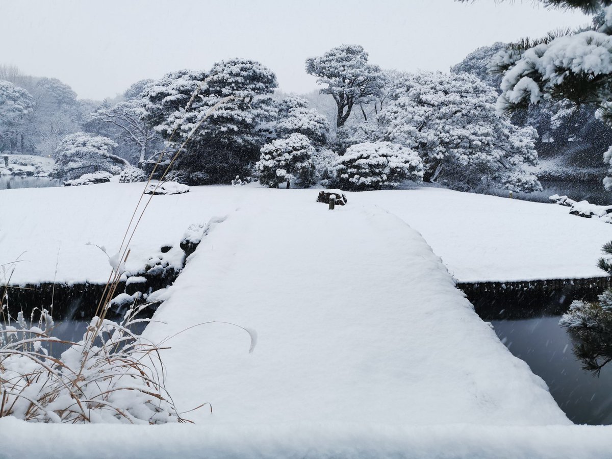 BBQ10lover's tweet photo. 先日の雪当日の風景
#写真好きな人と繋がりたい #写真撮るのが好きな人と繋がりたい #ファインダー越しの私の世界 #六義園 #P30Pro https://t.co/7SfwXO6PEA