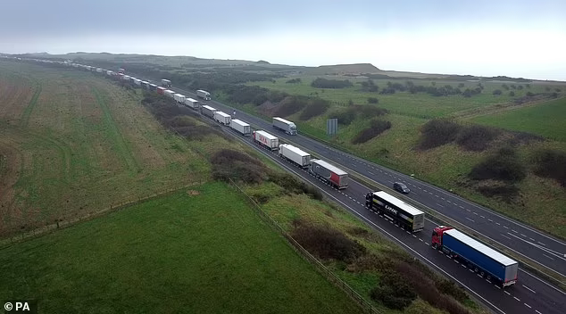 archer_rs's tweet photo. 30km of lorry queues  at Calais yesterday, the same at Dover.  Seamless trade anyone ?  #Brexit https://t.co/D4eg6x0WIy