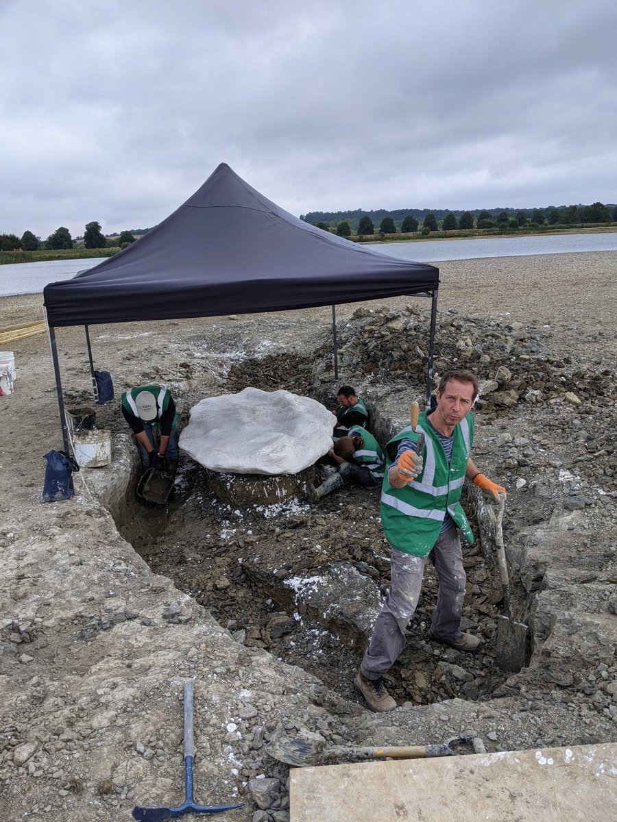 outfossiling's tweet image. Great to be involved with the #RutlandSeaDragon learnt so much over the three weeks from @Dean_R_Lomax @MrIchthyosaurus @MarkoPalaeo @Dr_EmmaNicholls @EmilyJSwaby @PauldelaSalle @stevendey + plus many others involved. Still chuckle with "calculate excavated soil expansion 🤣"