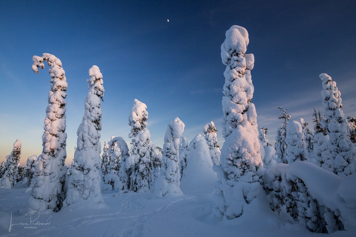 LProhhorov's tweet photo. Gm. Memories from Lapland, Finland
#hiking #adventure #finland https://t.co/EEXVW1VXQY