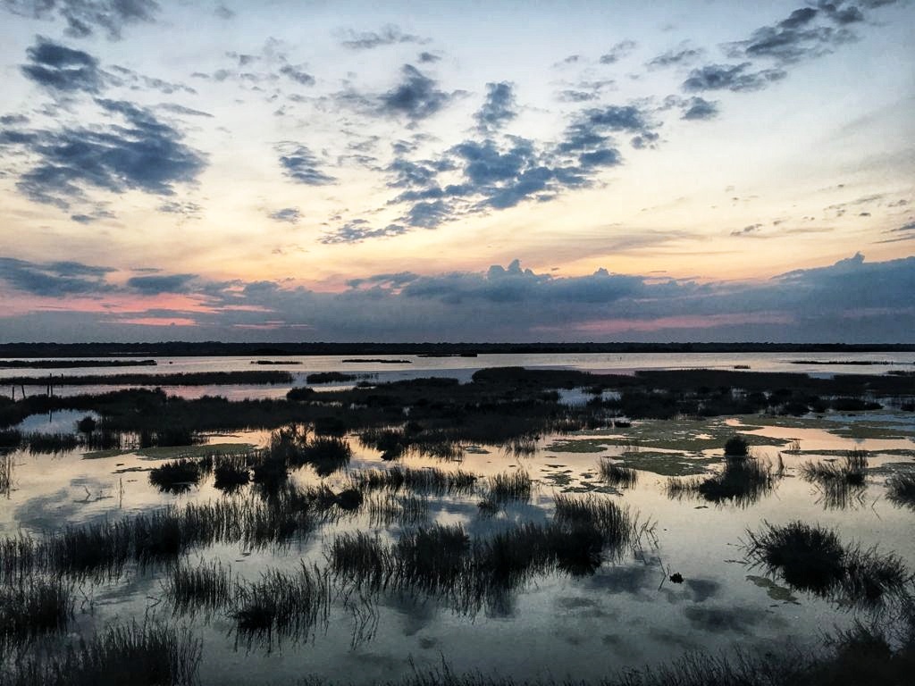 WaVE (Interreg Europe) tweet media