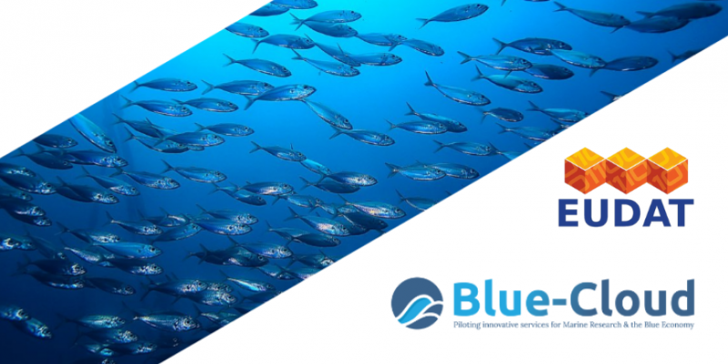 BlueCloudEU's tweet photo. Blue-Cloud currently uses @Eudat_eu #B2FIND service to ingest and publish metadata referencing Blue-Cloud’s data in B2FIND's interdisciplinary discovery portal. 
Discover the benefits of exploiting this service!
https://t.co/ZAlIfDGbkv
#EOSC #OpenScience https://t.co/hXGBIettGL