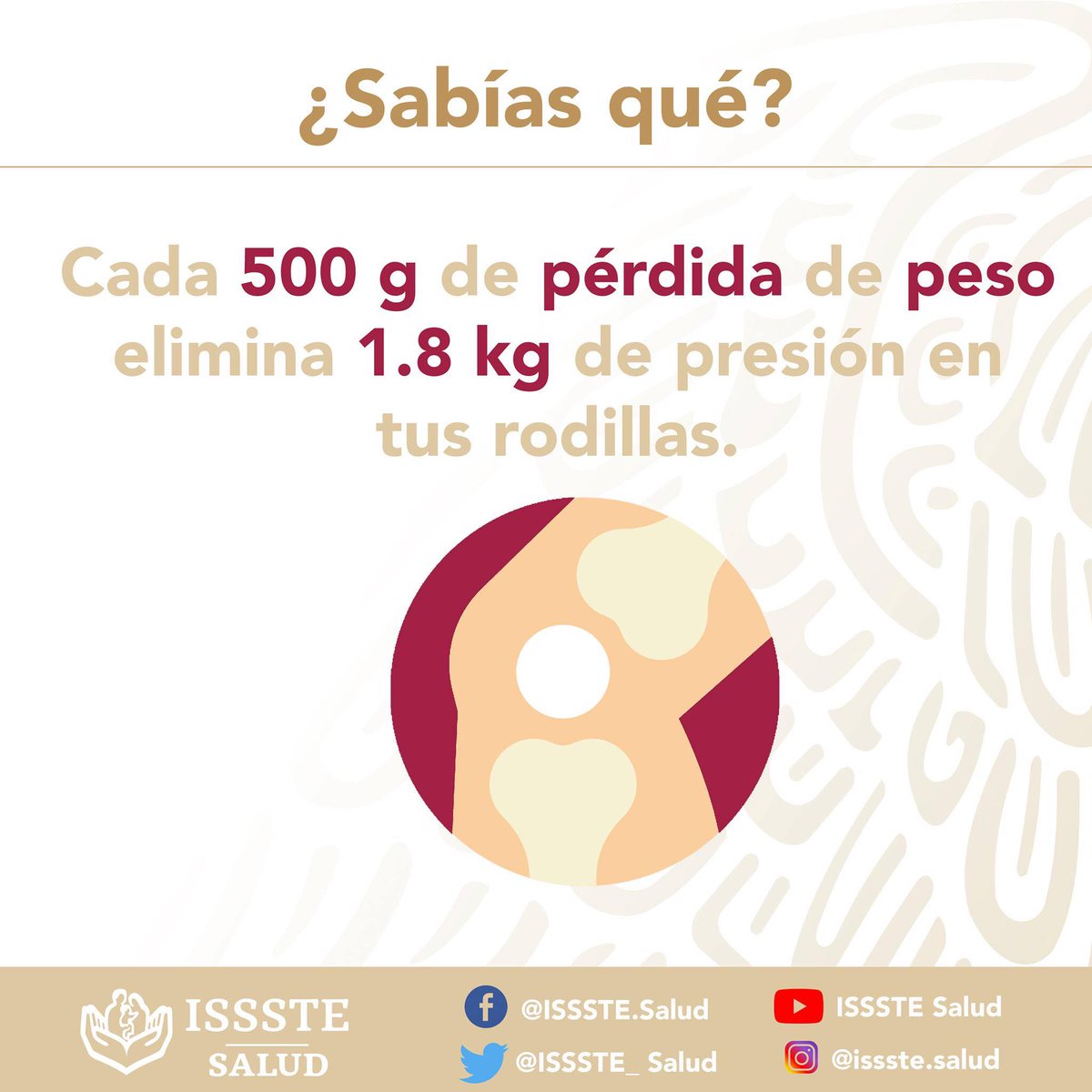Existen diversos factores que pueden ocasionar un dolor en las rodillas, la falta de actividad física y el sobre peso pueden ser algunos de los motivos más frecuentes. #Activate y #ComerSano son el primer paso.