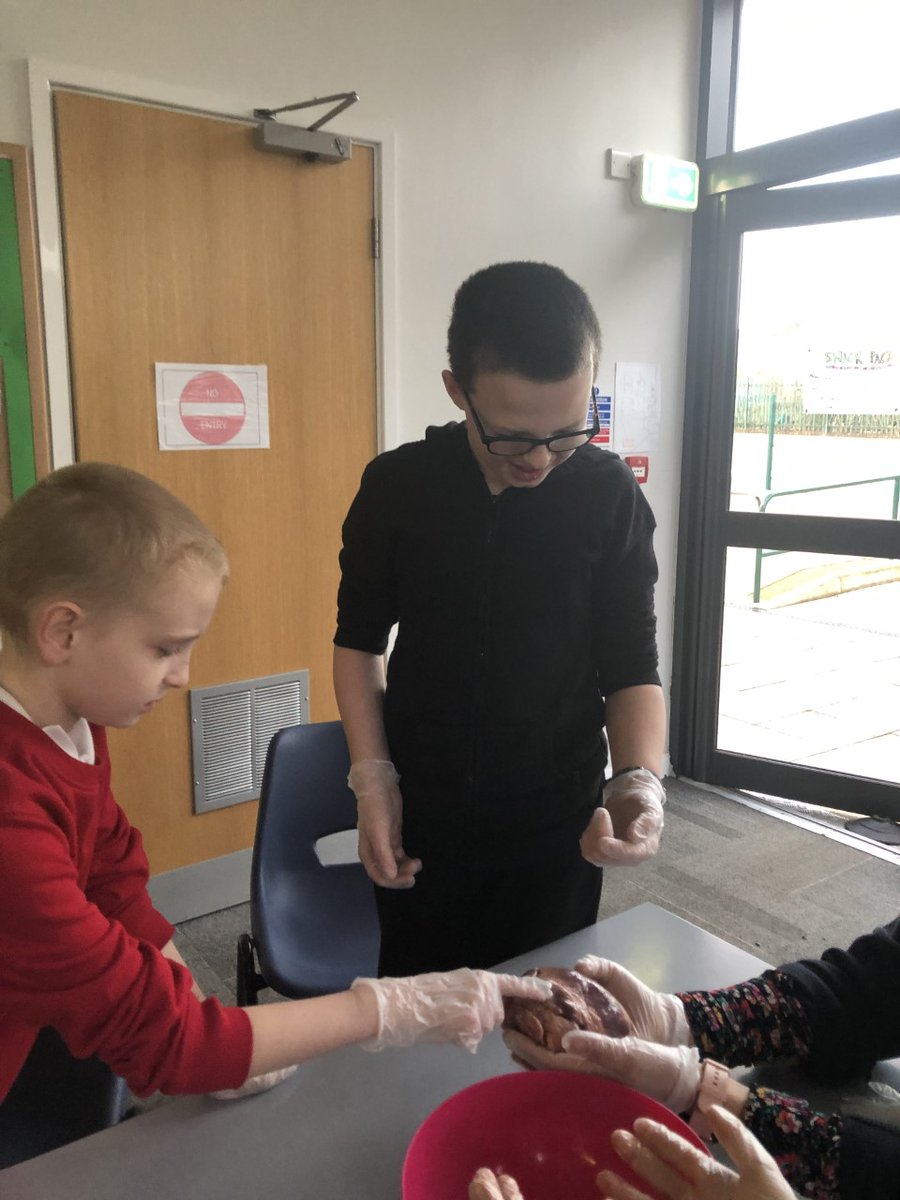 McoakMrs's tweet photo. Fantastic lesson this morning exploring the different parts of the heart @Cornerstonesedu 
#BloodHeart  
(More pictures below)
@olos_armthorpe https://t.co/nn1HvOz8w5