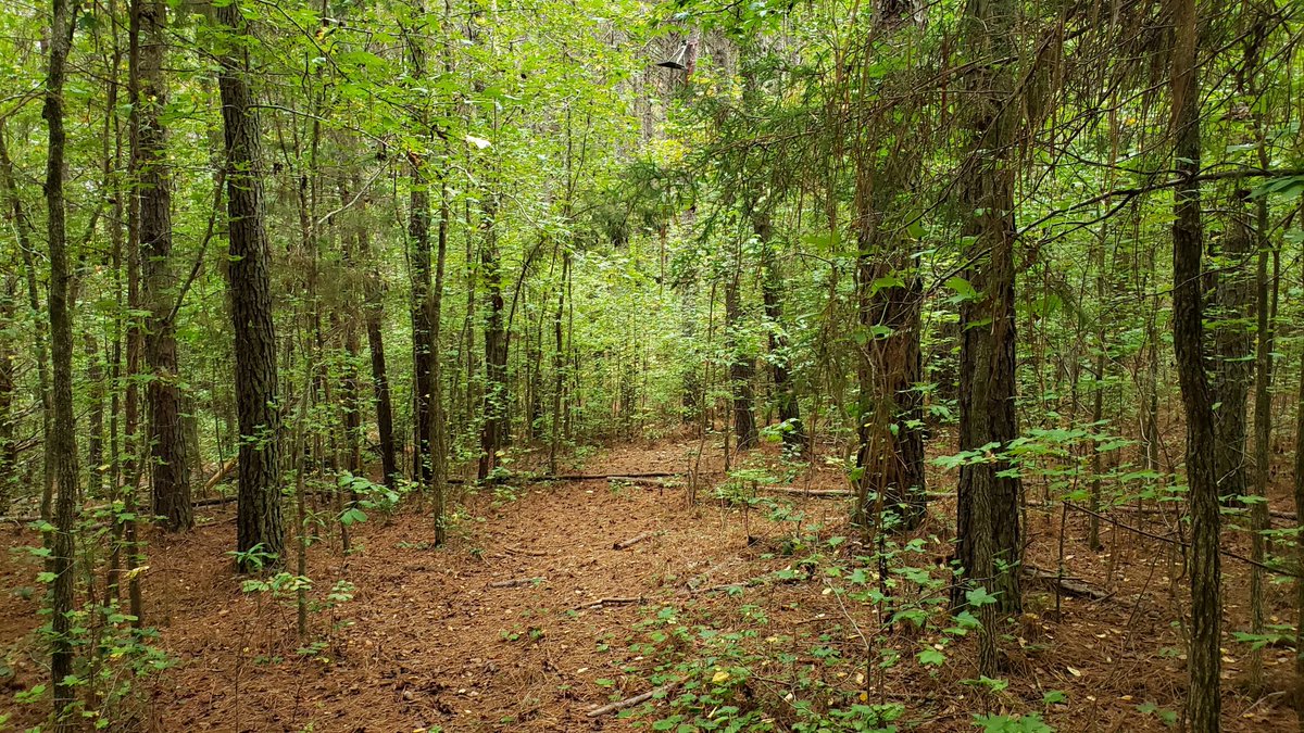 First conservation project of 2022!! On January 6th, 67 acres in Montgomery County were conserved! This project was achieved through sentimental intentions, read more about it here: threeriverslandtrust.org/2022/three-riv…