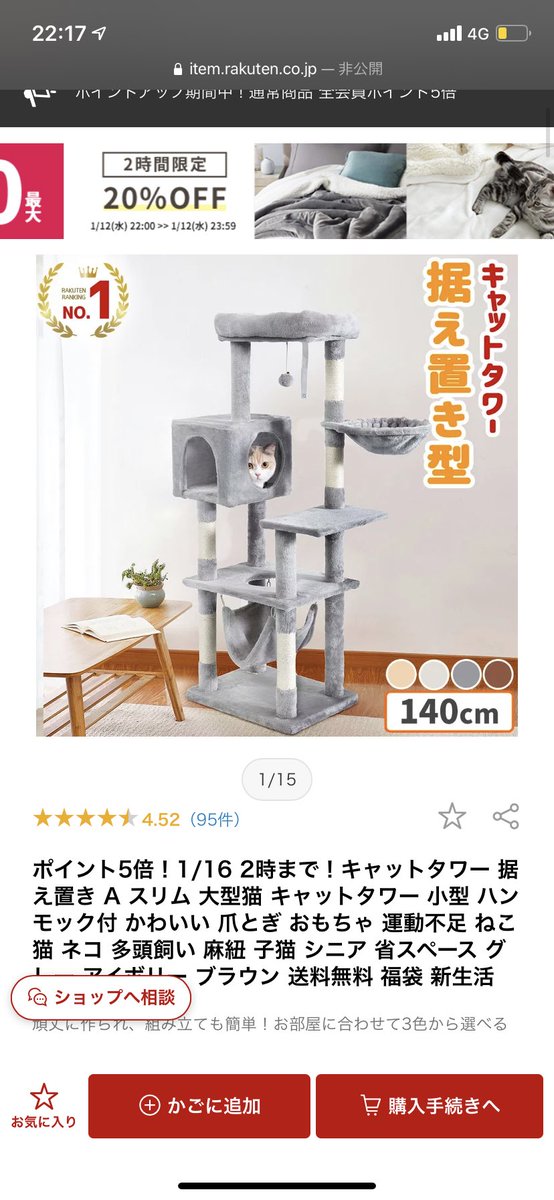 どっちにするか迷う…
色はベージュにします！
キャットタワー使ってる人はどんなのがいいとかあったら教えてください🙇‍♀️
猫1匹用です🐱