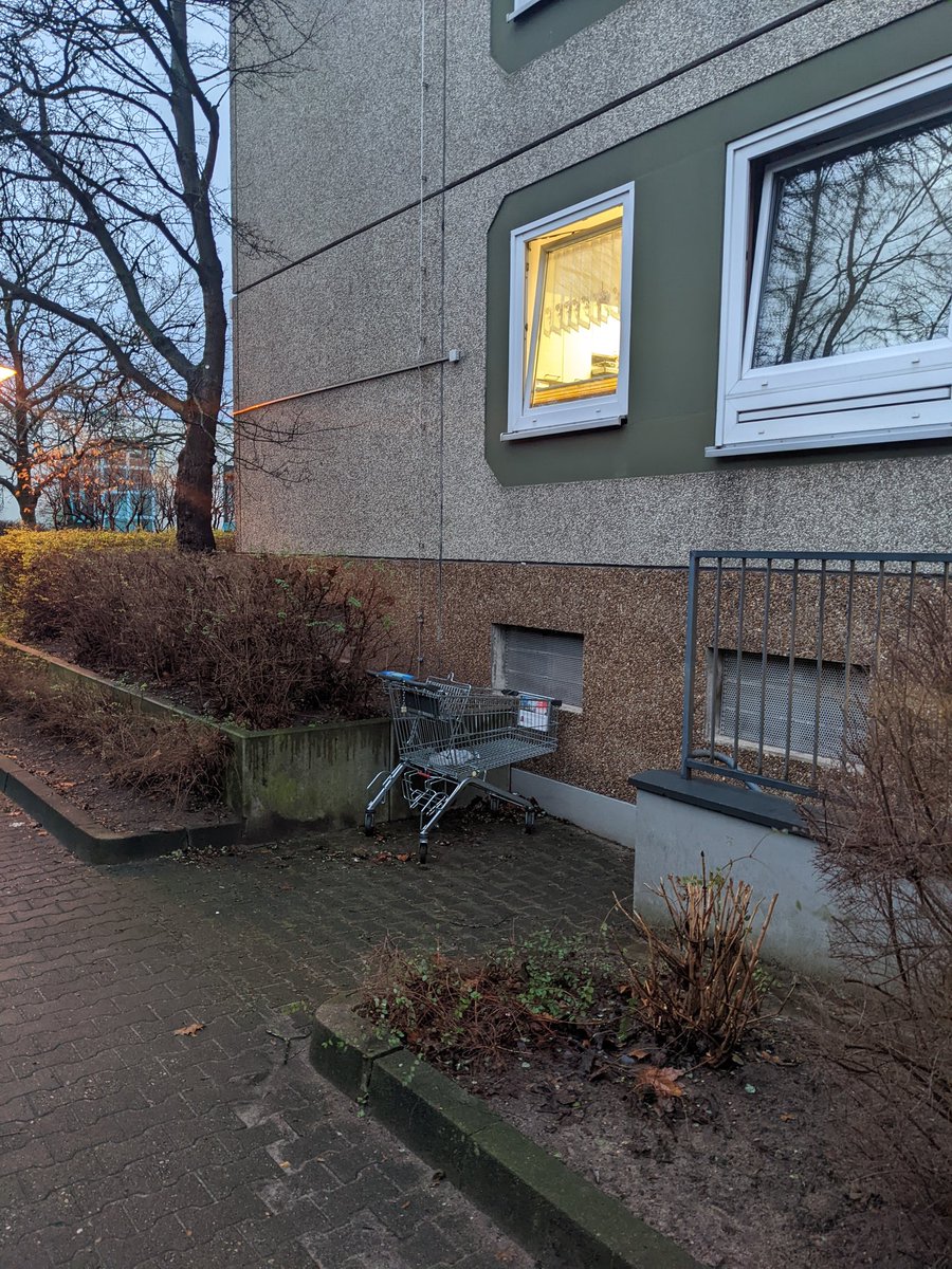 "Raaaaapunzel!" #einkaufswagenkunst <a href="/Wagerlkunst/">Einkaufswagenkunst</a>