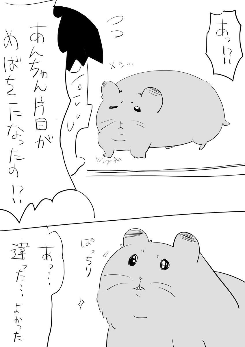 #逆襲の日記
心配したとたん
目をよく見開いてくれるあんちゃん 