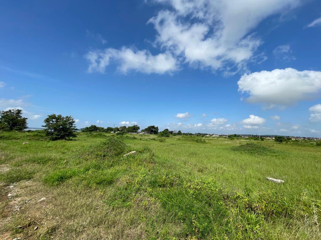 biokstef's tweet photo. ❇️🎉OFFRES SPÉCIALES 2022🎉❇️
Vente de terrains sur 4.6 hectares 
📍Bingerville Anan bordure de lagune
55.000f / m2
Avec ACD global
0777443746
#vente #terrain #civ225 #immobilier https://t.co/HqbscFiwbb