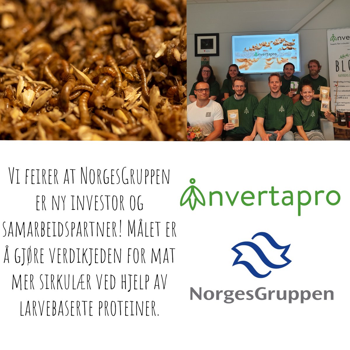 invertapro (@invertapro) on Twitter photo 