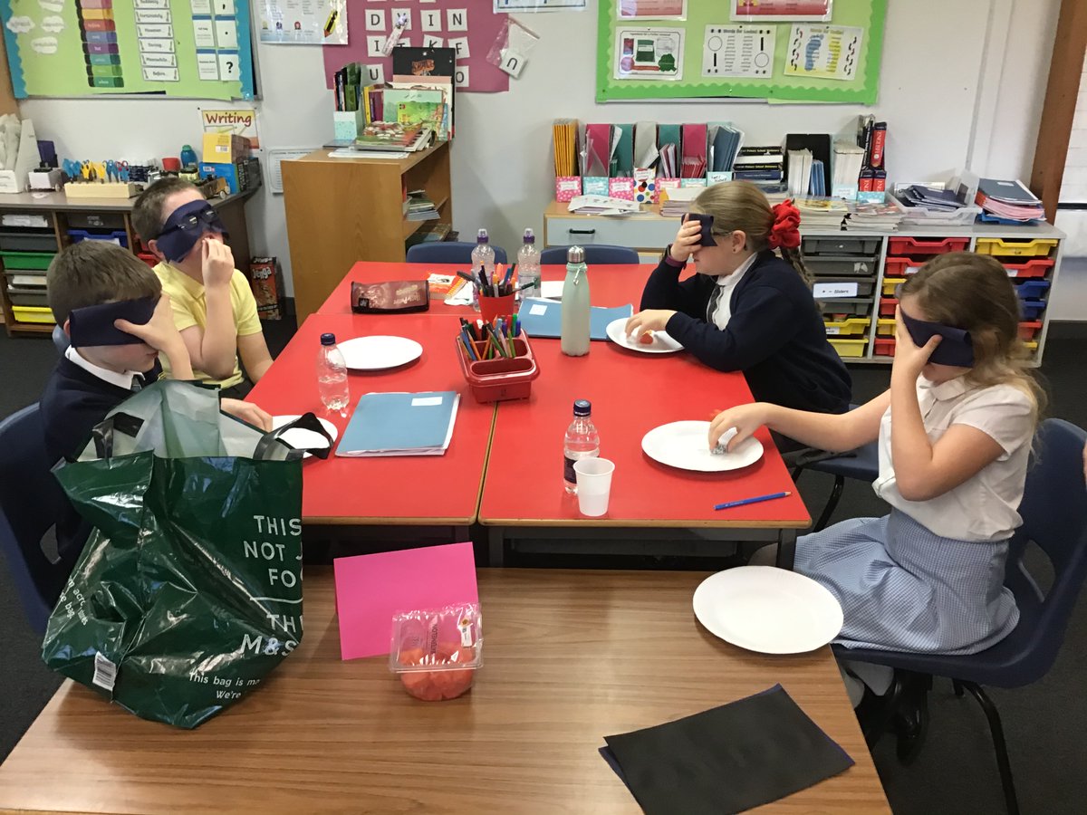 MrsChalmers3's tweet photo. P6/5 have been learning about the nervous system and how their senses work individually and together through a variety of investigations. @BarmullochP @YoungSTEMLeader @STEMglasgow https://t.co/Dupl6xz4EY