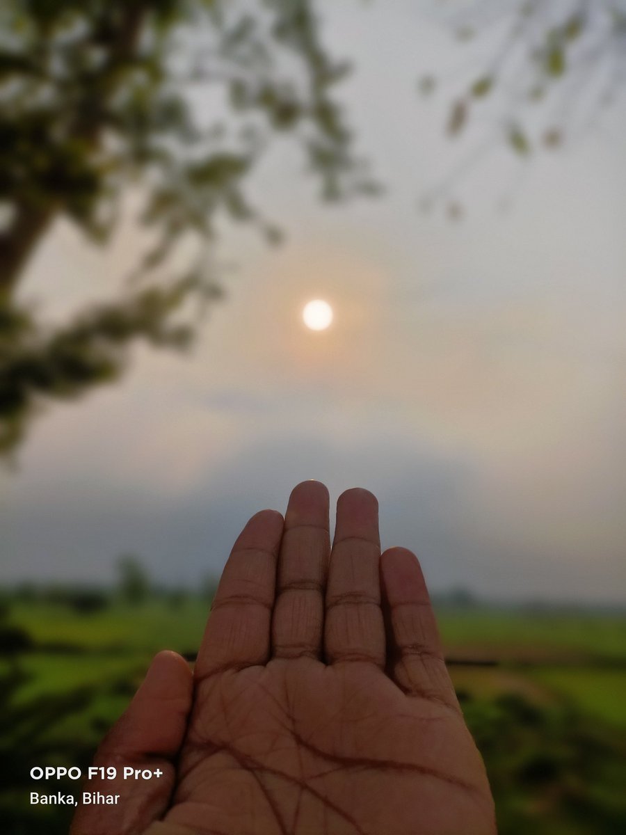 gulfaraz_khalk's tweet photo. "जो मिला उसमें ही खुश रहता हूँ मेरी उंगलियाँ"
"मुझे सिखाती हैं दुनियाँ में बराबर कोई नहीं है" #cp
#PictureCredit- #MySelf https://t.co/AfXN6RVjhm