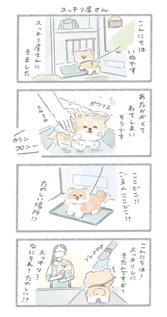 シャンプーとおいぬ
#こんにちはいぬです 