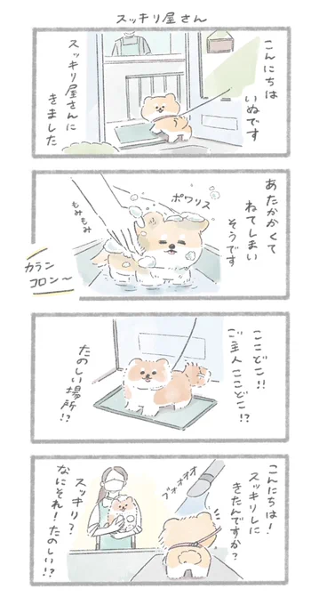 シャンプーとおいぬ#こんにちはいぬです 