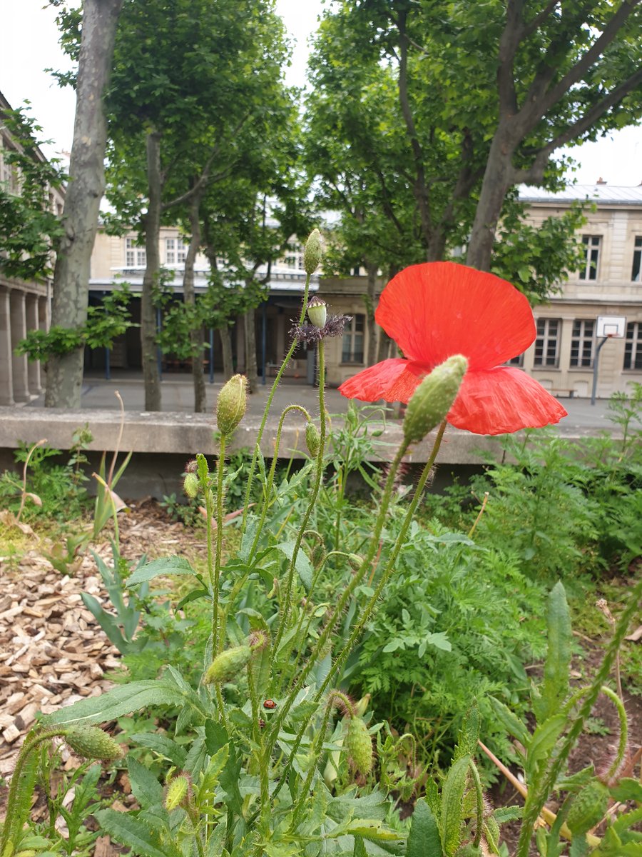 ColbertParis (@colbert_paris) on Twitter photo Ouverture <a href="/colbert_paris/">ColbertParis</a> <a href="/Academie_Paris/">Académie de Paris</a> #paris10 d'une classe prépa CPES ARTS pour préparer les concours des Écoles Supérieures d'Arts et de Design. A retrouver sur <a href="/parcoursup_info/">Parcoursup</a> dès aujourd'hui ! Ouverture <a href="/colbert_paris/">ColbertParis</a> <a href="/Academie_Paris/">Académie de Paris</a> #paris10 d'une classe prépa CPES ARTS pour préparer les concours des Écoles Supérieures d'Arts et de Design. A retrouver sur <a href="/parcoursup_info/">Parcoursup</a> dès aujourd'hui !