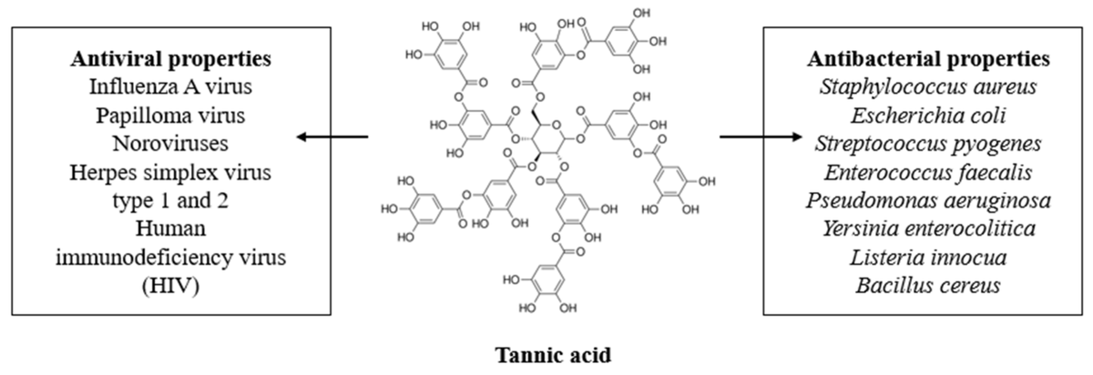 Materials_mdpi's tweet photo. Tannic acid can be classified into a #polyphenolic group and has been widely studied in #biomedical science.
Read the Review: Tannic Acid with Antiviral and Antibacterial Activity as A Promising Component of Biomaterials—A Minireview
https://t.co/ckKyGqFUiO https://t.co/EQ0MgGWZbi