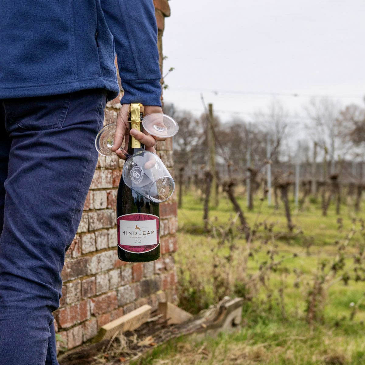 Heading into the Wednesday with a difference! 🤝  Hands firmly holding a bottle of Sparkling Red Wine 🍷 The popularity of sparkling red wine is growing day by day. Best Served Chilled. 

#sparklingwines #sparklingwinelovers  #sparklingwine  #merlotgrapes #winegrapes #winegrapes