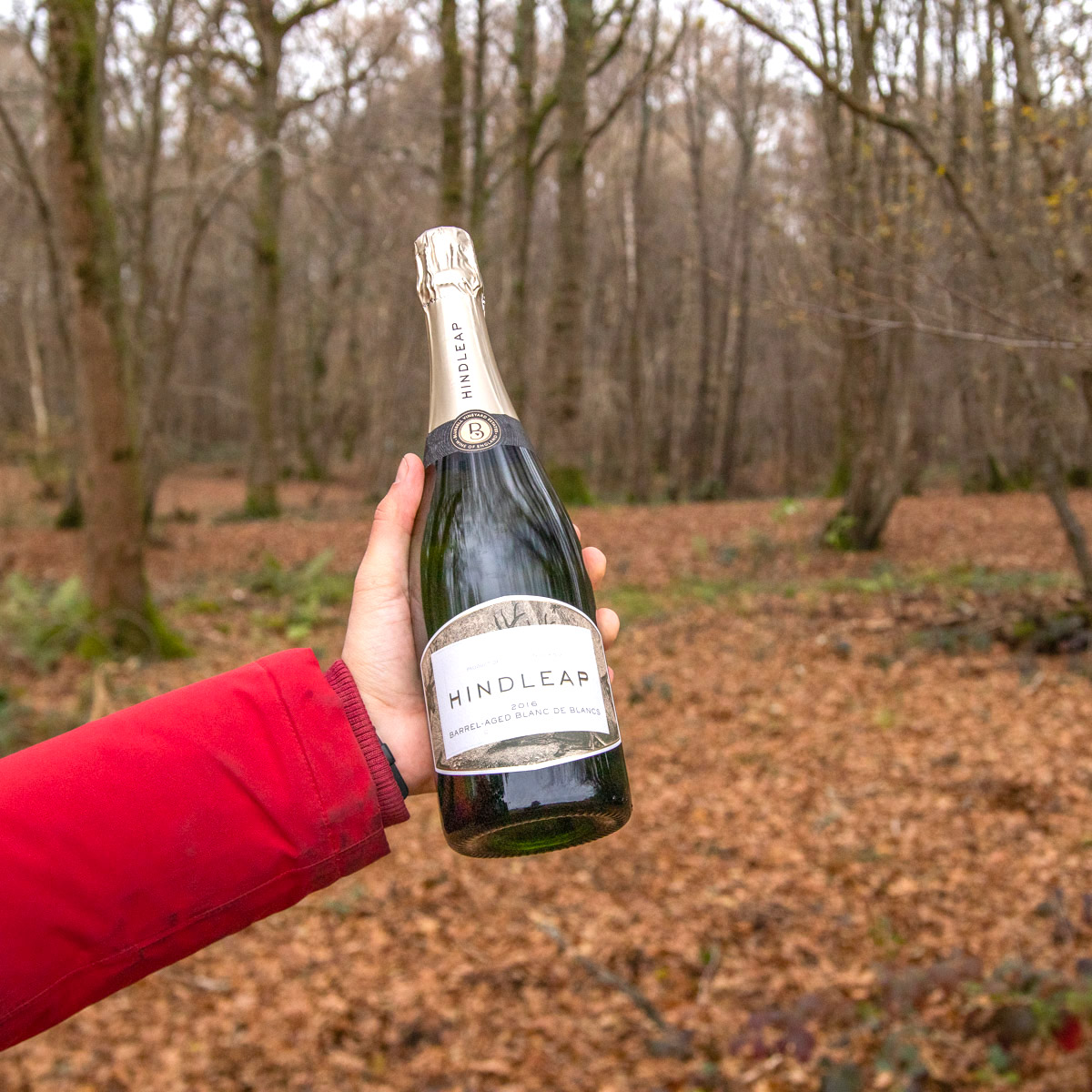Could you be better off with more time outside? With plenty of land 🌳 🍃 🍂 to roam, Bluebell estate is the perfect place for a walk 🚶 in the woods. Pick up a few bottles of wine 🍷 🍾 and take a walk around our grounds.
#walkinthewoods #vineyardvines #englishcountryside🇬🇧