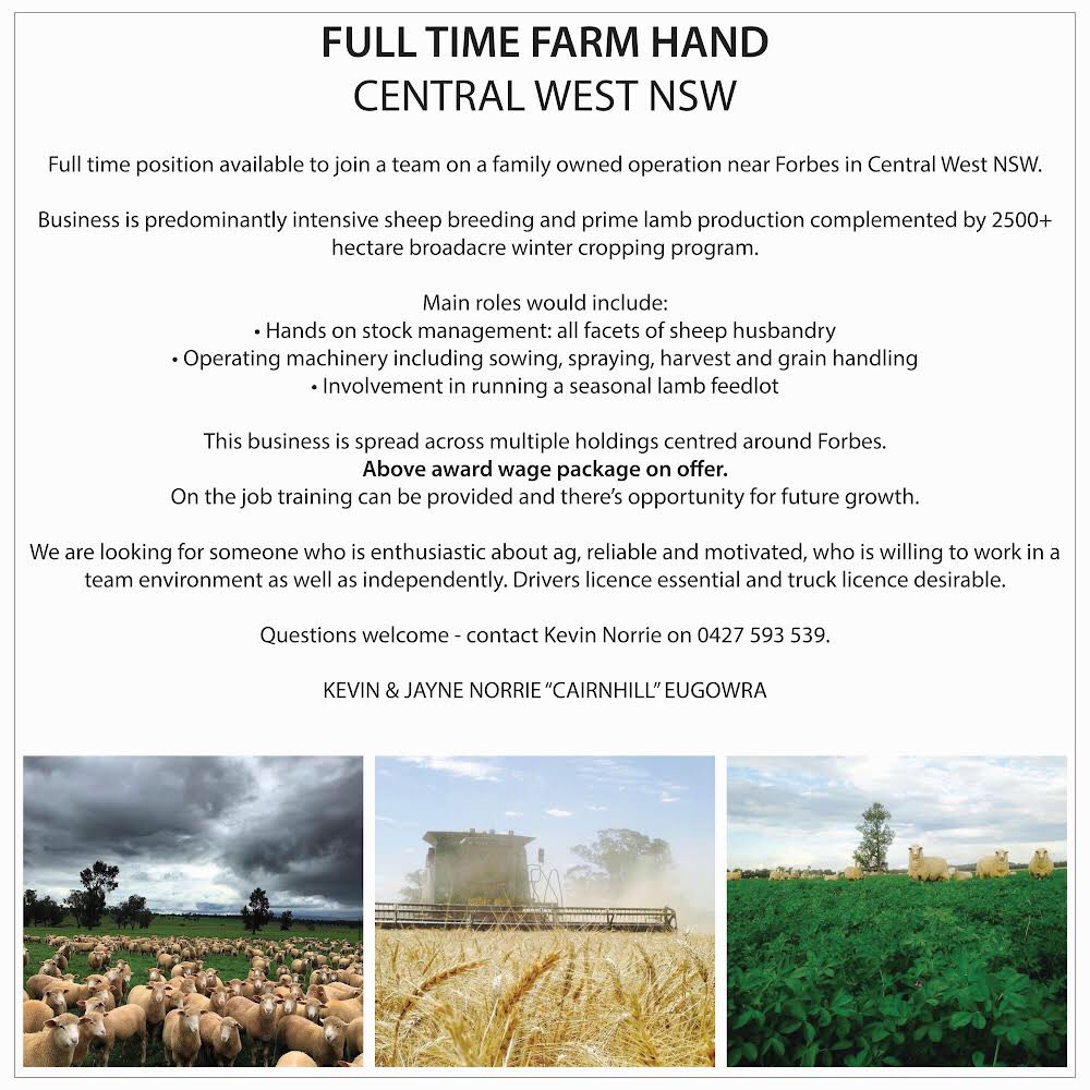 Kevin Norrie tweet media