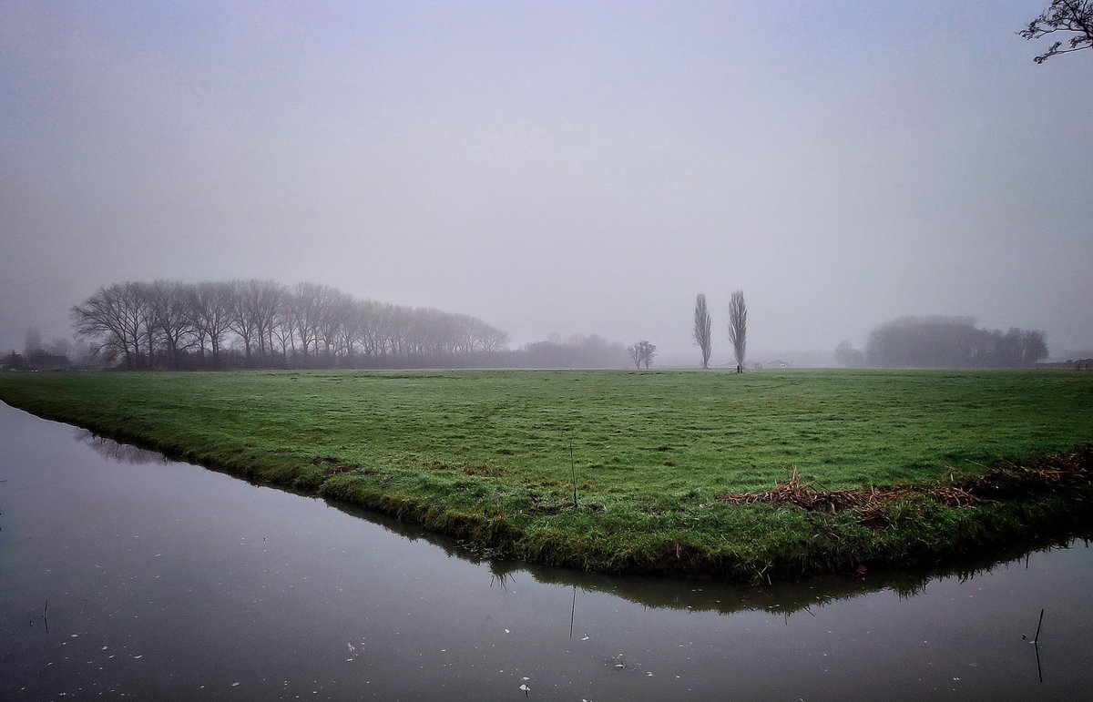 Tip: stap eens heel vroeg op de fiets voor je thuis aan het werk gaat. Je weet niet wat je ziet...