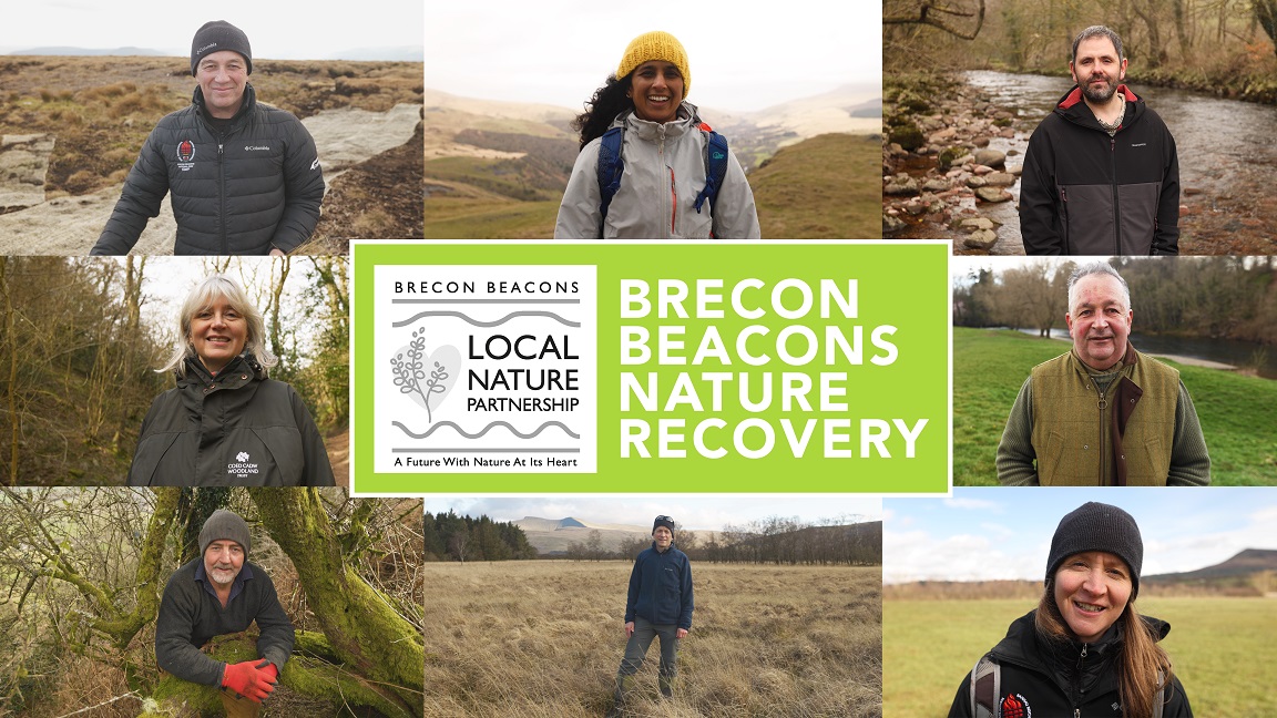 Brecon Beacons Nature Recovery tweet media