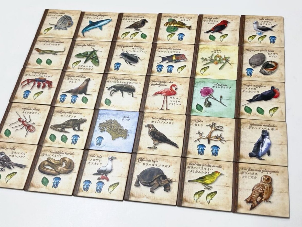 アークライトゲームズ 種の起源 紹介その3 写実的な生物種のイラストや 古地図風のボードデザイン 船や亀の木ゴマなどコンポーネントが美麗であることによる没入感に加え パズルを考えるため盤面の生物をよく見ることになる点も 生態を観察して次の アークライトゲームズ 種の起源 紹介その3 写実的な生物種のイラストや 古地図風のボードデザイン 船や亀の木ゴマなどコンポーネントが美麗であることによる没入感に加え パズルを考えるため盤面の生物をよく見ることになる点も 生態を観察して次の