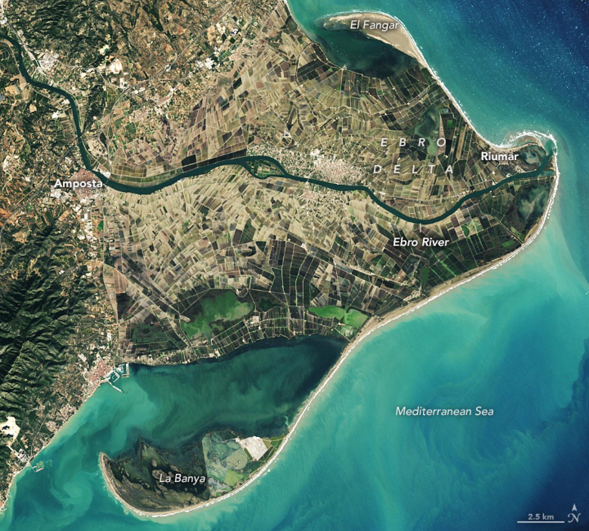 PDE's tweet photo. Delta de l'Ebre Entitats ambientalistes qüestionen els càlculs del #cabal ecològic que proposa el #PHE i el rebutgen per "insuficient". Les al·legacions presentades també reclamen incloure  pla de gestió #dels sediments i que no s'autoritzin més regadius. https://t.co/M2Ui3VUZGM https://t.co/4INtvbr86m