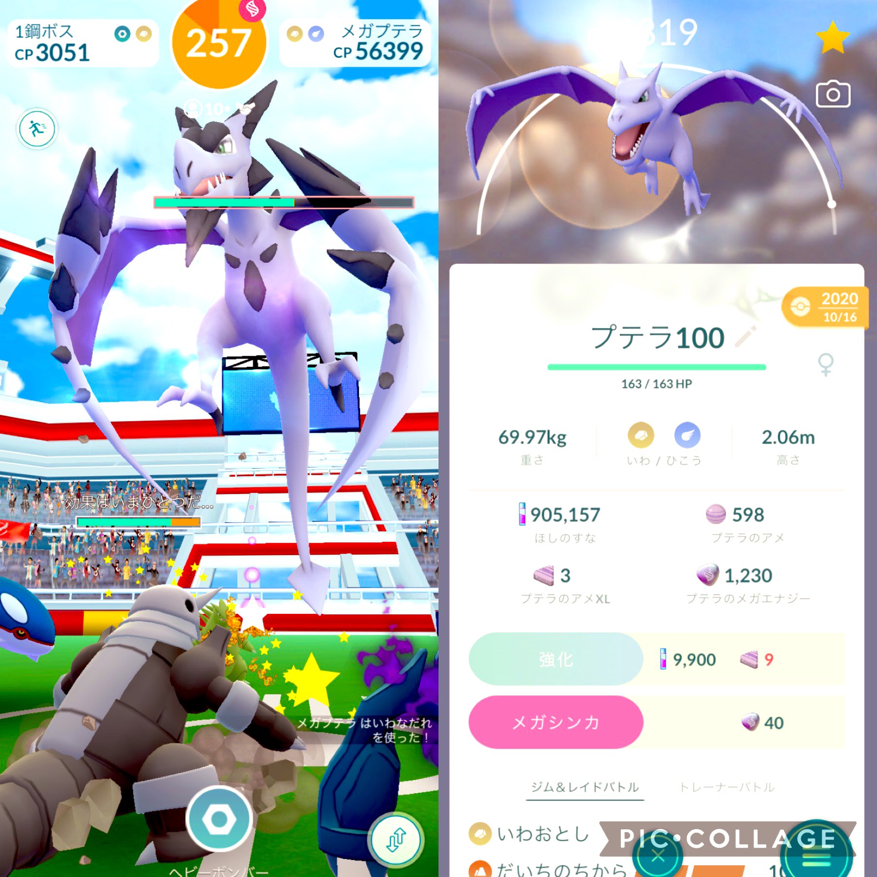 Ayuyu ポケモンgo 焼肉食べながらレイドアワー マッギョさん頑張ってくれました プテラのメガエナジー頑張って集めました W ポケモンgo T Co Rgyjtkedvm Twitter